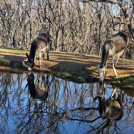 Vistas Espectaculares En Nuestro El Ca Nyaraló *